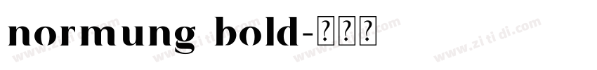 normung bold字体转换